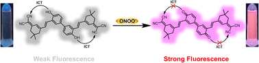Graphical abstract: Turn-on fluorescent probe based on dicyanoisophorone for bioimaging and rapid detection of peroxynitrite in aqueous media