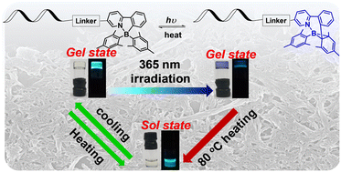 Graphical abstract: Organoboron based photochromic gelator