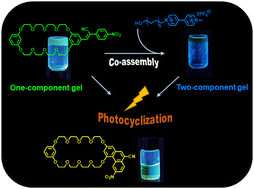 Graphical abstract: A crown ether embedded responsive π-gelator for transition from a one-component gel to a two-component gel