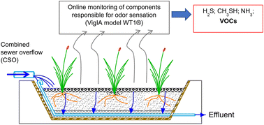 Graphical abstract: First report of components responsible for odor sensation from a vertical flow constructed wetland treating combined sewer overflow