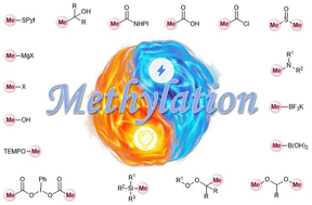 Graphical abstract: Demystifying the recent photochemical and electrochemical strategies in installing the magic methyl group: a comprehensive overview