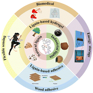 Graphical abstract: Recent advances in the preparation, properties, and applications of lignin-based hydrogels and adhesives