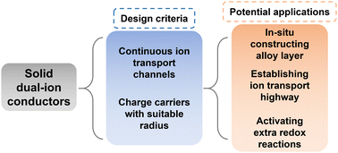 Graphical abstract: Dual-ion conductors: from liquid to solid