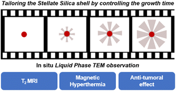 Graphical abstract: Tailoring the pore structure of iron oxide core@stellate mesoporous silica shell nanocomposites: effects on MRI and magnetic hyperthermia properties and applicability to anti-cancer therapies