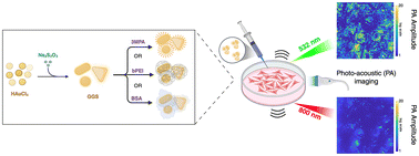 Graphical abstract: Portfolio of colloidally stable gold–gold sulfide nanoparticles and their use in broad-band photoacoustic imaging