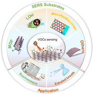 Graphical abstract: Application and development of SERS technology in detection of VOC gases
