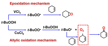 Graphical abstract: Unravelling the different pathways of cyclohexene oxidation via a peroxyl radical generated from tert-butyl hydroperoxide (TBHP) by various metal salts