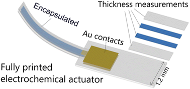 Graphical abstract: The thickness-dependent response of aerosol-jet-printed ultrathin high-aspect-ratio electrochemical microactuators