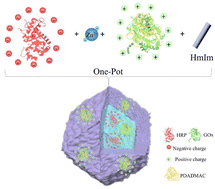 Graphical abstract: One-pot spatial engineering of multi-enzymes in metal–organic frameworks for enhanced cascade activity