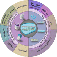 Graphical abstract: Application of a calcium and phosphorus biomineralization strategy in tooth repair: a systematic review