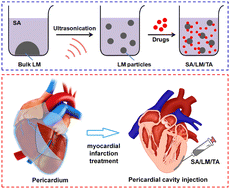 Graphical abstract: Delivery of liquid metal particles and tanshinone IIA into the pericardial cavity for myocardial infarction treatment