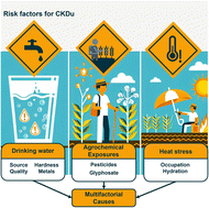 Graphical abstract: A critical review of a hidden epidemic: examining the occupational and environmental risk factors of chronic kidney disease of unknown etiology (CKDu)