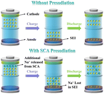 Graphical abstract: Presodiation technology: progress, strategy and prospects of sacrificial cathode additives in sodium-based energy storage systems