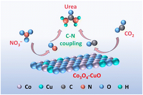 Graphical abstract: Urea synthesis via electrocatalytic C–N coupling of CO2 and nitrate on oxygen-vacancy-rich Co3O4–CuO heterostructure nanowires