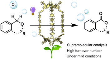 Graphical abstract: Coordination-assembly of a redox-active Pd6L3 cage for aerobic C(sp3)–H bond photooxidation of aromatic cyclic ethers