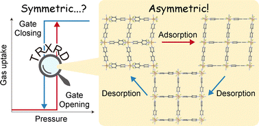 Graphical abstract: Latent asymmetry of gate opening and closing in a flexible MOF probed by time-resolved in situ XRD