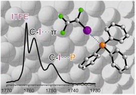Graphical abstract: Matrix-isolation IR spectra of halogen–P and halogen–π complexes of phosphines and iodotrifluoroethylene (C2F3I)