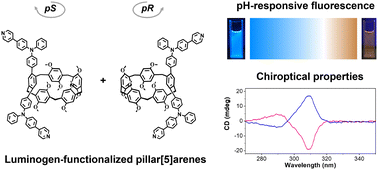 Graphical abstract: Functionalized pillar[5]arenes with pH-responsive fluorescence and chiroptical properties