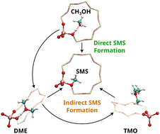 Graphical abstract: A computational study of the formation of surface methoxy species in H-SSZ-13 and H-SAPO-34 frameworks