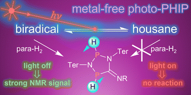 Graphical abstract: Photoswitchable, metal-free parahydrogen-induced polarization enabled by a phosphorus biradicaloid