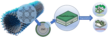 Graphical abstract: Dynamic evolution of self-renewal Fe–N–C catalysts for the acidic oxygen reduction reaction