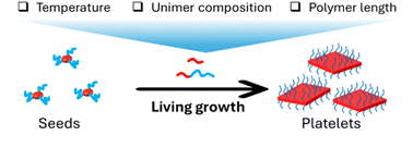 Graphical abstract: Self-assembled poly(l-lactide)-based platelets prepared via seeded growth