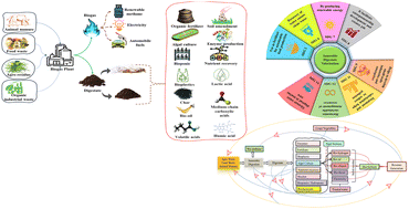 Graphical abstract: Anaerobic digestion-derived digestate valorization: green chemistry innovations for resource recovery and reutilization