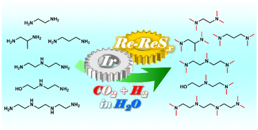 Graphical abstract: Highly efficient sulfurized Re–Ir catalysts for multiple N-methylation of ethylenediamine and its homologous series with CO2 and H2 in water solvent