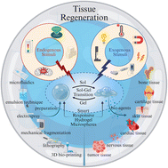 Graphical abstract: Recent advances in smart responsive hydrogel microspheres for tissue regeneration: preparation, characteristics and applications