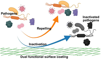 Graphical abstract: Dual-functional surface coatings integrating antimicrobial and antibiofouling mechanisms: from material design to application landscapes