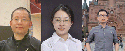 Graphical abstract: Introduction to carbon nanomaterials for smart applications