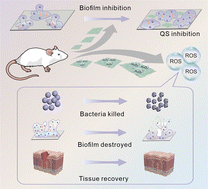Graphical abstract: Ultrathin DNA–copper nanosheets with antibacterial and anti-biofilm activity for treatment of infected wounds