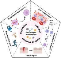 Graphical abstract: Pancatalytic biomaterials enable inflammation-related disease intervention