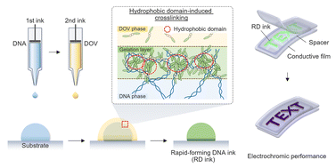 Graphical abstract: Electrochromic DNA-based bioink with rapid interfacial gelation for bioprinting applications