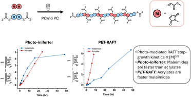 Graphical abstract: Mechanism and modelling of photo-mediated RAFT step-growth polymerization