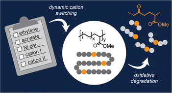 Graphical abstract: Ethylene and alkyl acrylate copolymers made-to-order using dynamic cation switching polymerization and evidence for improved polymer degradability with low polar group density
