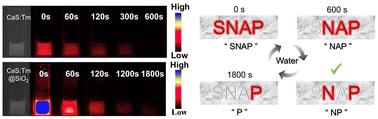 Graphical abstract: Aqueous-triggered self-destructive persistent luminescent nanoparticles for dynamic hierarchical security encoding