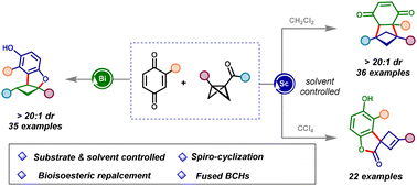 Graphical abstract: Lewis acid catalyzed divergent annulation of bicyclo[1.1.0]butanes and quinones for the synthesis of various polycyclic molecules