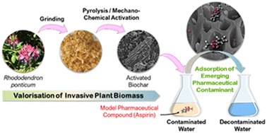 Graphical abstract: Valorisation of invasive plant (Rhododendron ponticum) biomass into activated biochar as a sustainable adsorbent for emerging pharmaceutical contaminant removal from water