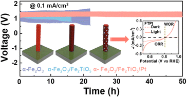 Graphical abstract: Tuning the bifunctional properties of an α-Fe2O3/Fe2TiO5/Pt heterojunction photoelectrode for light-induced water oxidation and oxygen reduction activity
