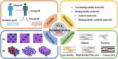 Graphical abstract: Advancements in anterior cruciate ligament reconstruction based on weaving technology: current developments and future prospects