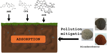 Graphical abstract: Simultaneous presence of antibiotics in the environment: competition for soil adsorption sites and risk mitigation by bioadsorbents