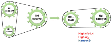Graphical abstract: A one-shot activating reagent of neodymium carboxylate for highly cis-1,4 specific butadiene polymerization