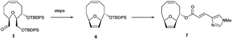 Graphical abstract: Synthesis of a simplified analogue of eleutherobin via a Claisen rearrangement and ring closing metathesis strategy