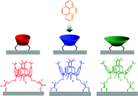 Graphical abstract: Self-assembly of a dithiocarbamate calix[4]arene on Ag nanoparticles and its application in the fabrication of surface-enhanced Raman scattering based nanosensors