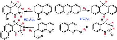 Graphical abstract: Metal-free reductions of N-heterocycles via Lewis acid catalyzed hydrogenation