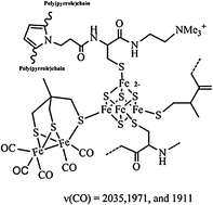 Graphical abstract: Artificial hydrogenases: assembly of an H-cluster analogue within a functionalised poly(pyrrole) matrix