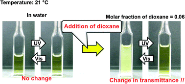 Graphical abstract: Solvent induced amplification of the photoresponsive properties of α,ω-di-[4-cyanophenyl-4′-(6-hexyloxy)-azobenzene]-poly(N-isopropylacrylamide) in aqueous media