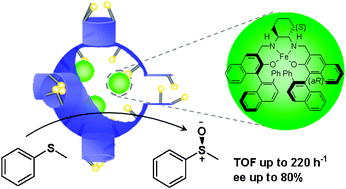 Graphical abstract: Encapsulation of chiral Fe(salan) in nanocages with different microenvironments for asymmetric sulfide oxidation