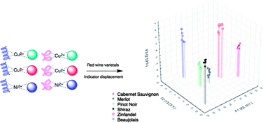 Graphical abstract: Discrimination of flavonoids and red wine varietals by arrays of differential peptidic sensors